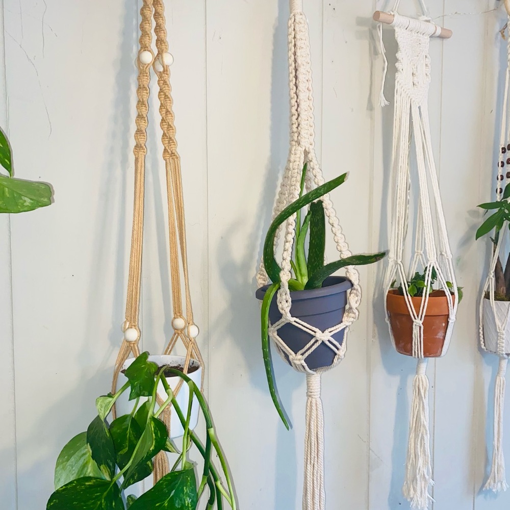Plant macrame - Picture 5 of 6